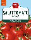 Tomate Harzfeuer bei REWE im Uhingen Prospekt für 1,99 €