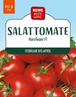 REWE Uhingen - Tomate Harzfeuer Angebot im Prospekt Tomate Harzfeuer bei REWE im Uhingen Prospekt für 1,99 €