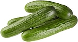 REWE Ingolstadt - Mini Gurken Angebot im Prospekt Mini Gurken bei REWE im Ingolstadt Prospekt für 4,99 €