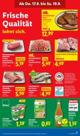 Forelle im Lidl Prospekt in Eisenach Aktueller Lidl Prospekt mit Forelle, "LIDL LOHNT SICH", Seite 57