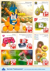 Aktueller Marktkauf Prospekt mit Garten, "Top Angebote", Seite 6