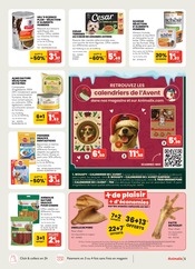 Promos Oreiller dans le catalogue "Les feuilles tombent, les prix aussi !" de Animalis Oreiller en promo dans le catalogue Animalis à la page 5