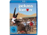 Jackass Forever Blu-ray im aktuellen Prospekt bei Media-Markt in Heinrichsthal, Unterfr