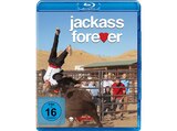 Jackass Forever Blu-ray Angebot in Heinrichsthal, Unterfr Jackass Forever Blu-ray im aktuellen Prospekt bei Media-Markt in Heinrichsthal, Unterfr