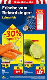 Limetten im Lidl Prospekt "LIDL LOHNT SICH" auf Seite 4