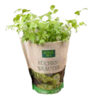 Küchenkraut im Pflanzen Kölle Prospekt Küchenkraut von im aktuellen Pflanzen Kölle Prospekt für 2,99 €