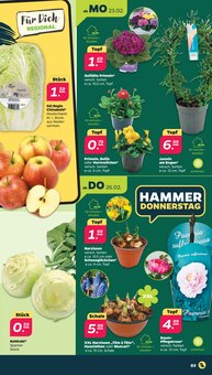 Pflanzen im Netto mit dem Scottie Prospekt "Günstig. Besser. Für Dich." mit 42 Seiten (Halle (Saale))