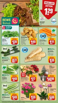 Kartoffeln im REWE Prospekt "Dein Markt" mit 32 Seiten (Fürth)