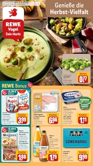 REWE Prospekt der Woche "Dein Markt" Seite 1, 20.10.2025 bis 25.10.2025 für Zeitlarn Aktueller REWE Prospekt "Dein Markt" Seite 1 von 30 Seiten für Zeitlarn