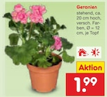 Aktuelle Geranien Angebote bei Netto Marken-Discount in Salzgitter Aktuelles Geranien Angebot bei Netto Marken-Discount in Salzgitter ab 1,99 âŹ