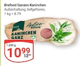 Ganzes Kaninchen Angebote von Brefood bei GLOBUS Duisburg für 10,99 €