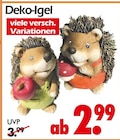 Deko-Igel bei Wreesmann im Prospekt "" für 2,99 €