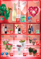 Aktueller Marktkauf Prospekt mit Zimmerpflanzen, "AUSWAHL RIESIG, PREISE NIEDRIG", Seite 6