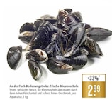 Frische Miesmuscheln Angebote bei Marktkauf Ulm für 2,99 €