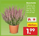 Besenheide im Angebot bei Netto Marken-Discount in Aschaffenburg Besenheide Angebote bei Netto Marken-Discount Aschaffenburg für 1,99 €