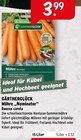 Möhre Nominator bei Raiffeisenmarkt im Prospekt "" für 3,99 €