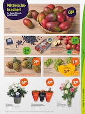 Obst im tegut Prospekt in Mainz Aktueller tegut Prospekt mit Obst, "tegut… gute Lebensmittel", Seite 5