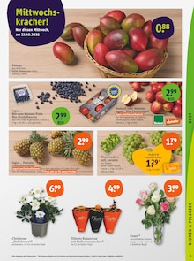 Obst im aktuellen tegut Prospekt (Frankfurt (Main)) Obst im tegut Prospekt "tegut… gute Lebensmittel" mit 23 Seiten (Frankfurt (Main))