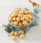 Pomme de Terre Primeur - Super U à Lorient Pomme de Terre Primeur en promo chez Super U Lorient à 1,75 €
