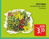 Herbsttulpen im Angebot bei Marktkauf in Altenburg Herbsttulpen Angebote bei Marktkauf Altenburg für 3,33 €