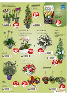 Gartenerde im V-Markt Prospekt "V-Markt einfach besser einkaufen" mit 26 Seiten (München)