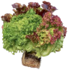 Angebot im EDEKA Niederwinkling Prospekt EDEKA Niederwinkling Prospekt mit im Angebot für 1,49 €