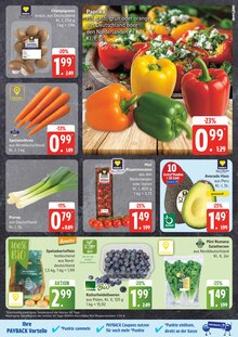 Zimmerpflanzen Angebot im EDEKA Prospekt, gültig von 04.08.2025 bis 09.08.2025 Zimmerpflanzen Angebot im aktuellen EDEKA Prospekt auf Seite 3