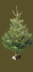 Intermarché Super Langogne - Promo Sapin Nordmann 150/175 cm avec bûche offerte Promo Sapin Nordmann 150/175 cm avec bûche offerte à 39,99 € dans le catalogue Intermarché Super à Langogne
