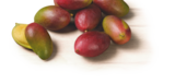 Mango im tegut Prospekt Mango von im aktuellen tegut Prospekt für 1,49 €
