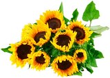 Sonnenblumen im Angebot bei REWE in Bamberg Sonnenblumen Angebote bei REWE Bamberg für 2,99 €