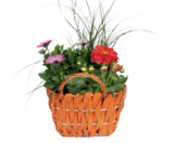 Bepflanzter Korb Angebote bei toom Baumarkt Oberhausen für 12,99 €