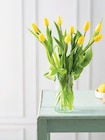 Bouquet de 9 tulipes de glace - U - Super U à Amiens Bouquet de 9 tulipes de glace - U en promo chez Super U Amiens à 5,99 €