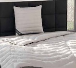 Kopfkissen SILBER oder Ganzjahresbett SILBER im Angebot bei Zurbrüggen in Ahlen Kopfkissen SILBER oder Ganzjahresbett SILBER Angebote von SPESSART TRAUM bei Zurbrüggen Ahlen für 39,95 €