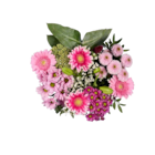Gemischter Blumenstrauß im Lidl Prospekt Gemischter Blumenstrauß im aktuellen Lidl Prospekt für 6,99 €