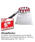 Obstpflücker bei bauSpezi im Ebermannstadt Prospekt für 9,99 €