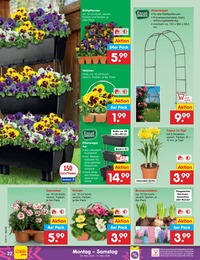 Blumenzwiebeln Angebot im aktuellen Netto Marken-Discount Prospekt auf Seite 32