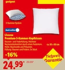 Premium-3-Kammer-Kopfkissen im Angebot bei Lidl in Remscheid Premium-3-Kammer-Kopfkissen Angebote von Livarno bei Lidl Remscheid für 24,99 €