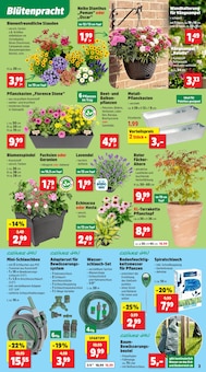 Blumentopf im Thomas Philipps Prospekt "Top Angebote" mit 22 Seiten (Hildesheim)
