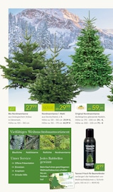Aktueller Pflanzen Kölle Prospekt mit Bio, "GROSSER WEIHNACHTSBAUM-VERKAUF", Seite 2