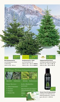 Pflanzen im Pflanzen Kölle Prospekt "GROSSER WEIHNACHTSBAUM-VERKAUF" mit 12 Seiten (Nürnberg)