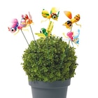 Gartenstecker Insekt für 2,49 € bei Netto mit dem Scottie im Angebot Gartenstecker Insekt im aktuellen Netto mit dem Scottie Prospekt