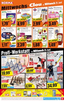 Zimmerpflanzen Angebot im aktuellen Norma Prospekt auf Seite 16