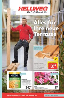 Holz im Hellweg Prospekt "Die Profi-Baumärkte" mit 16 Seiten (Hannover)