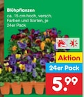 Blühpflanzen Angebote bei Netto Marken-Discount Elmshorn für 5,99 €