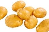 Speisefrühkartoffeln für 2,99 € bei Kaufland im Angebot Speisefrühkartoffeln im aktuellen Kaufland Prospekt