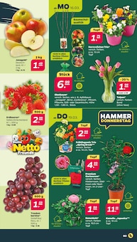 Tulpen im Netto mit dem Scottie Prospekt "Günstig. Besser. Für Dich." mit 41 Seiten (Dresden)