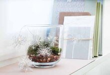 Glas-Windlicht bei Zurbrüggen in Unna Glas-Windlicht im Angebot bei Zurbrüggen Unna für 19,99 €