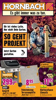 Aktueller Hornbach Nürnberg Prospekt Hornbach Prospekt Nürnberg "Dir ist vieles Latte. Nur nicht Dein Garten." mit 31 Seiten