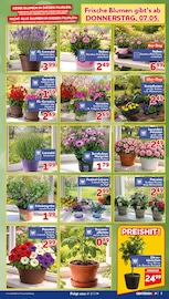 Aktueller CENTERSHOP Prospekt mit Lavendel, "Da geht was.", Seite 3