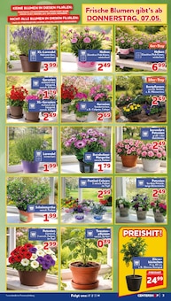 Blumentopf im CENTERSHOP Prospekt "Da geht was." mit 24 Seiten (Mönchengladbach)